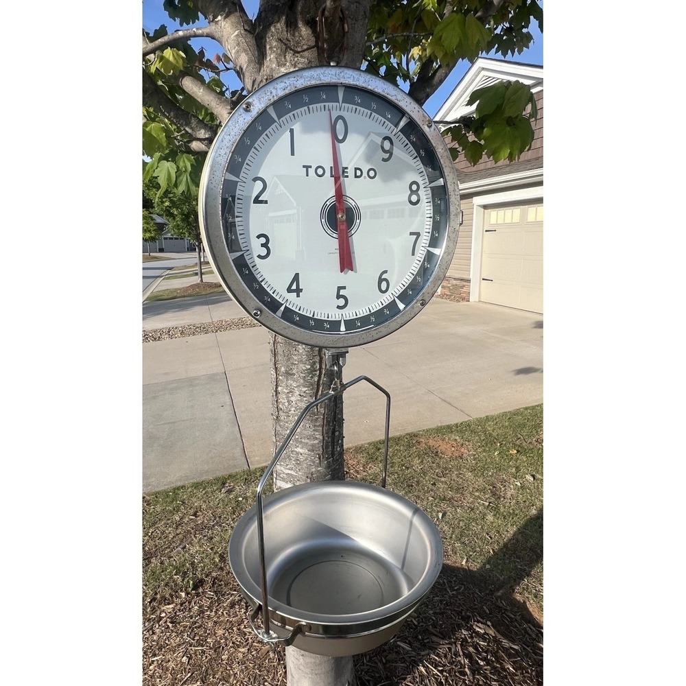 Vintage Toledo 2110 Double Sided Hanging Scale W/Basket 30 lb Capacity 14" WORKS